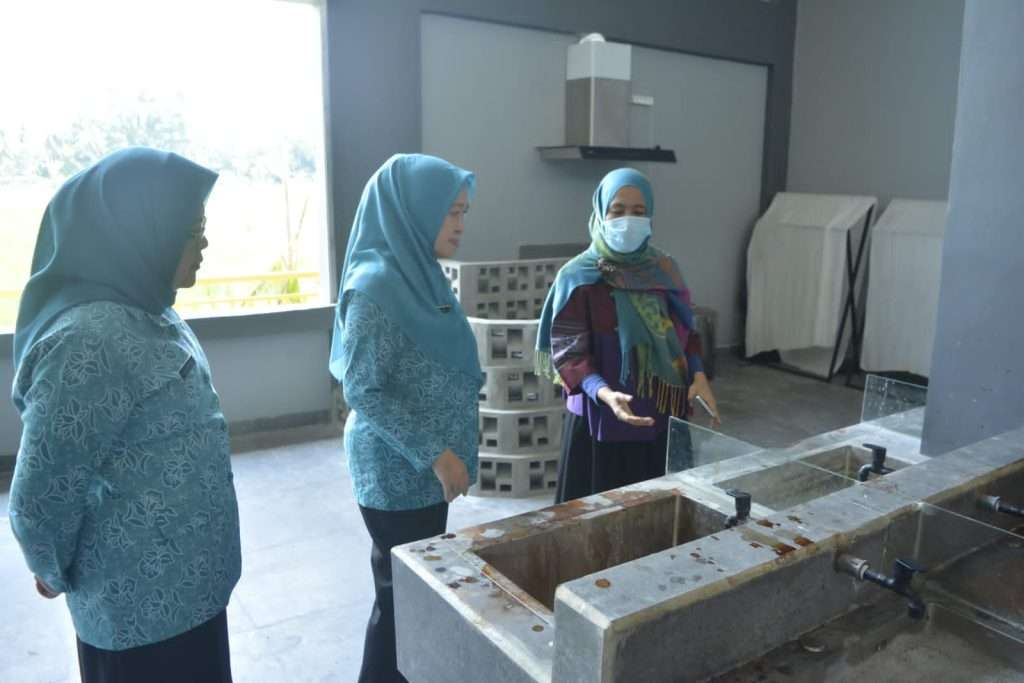 Wakil Ketua TP PKK Sumsel Hj Fauziah MY