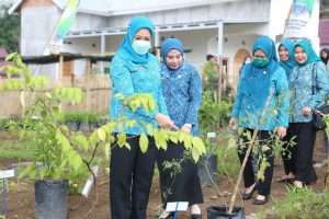 Ketua TP PKK Sumsel Hj Feby Herman Deru