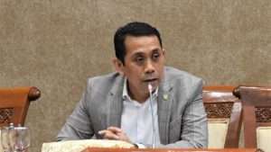 Kamrussamad. (Foto: Dok. Gerinda)